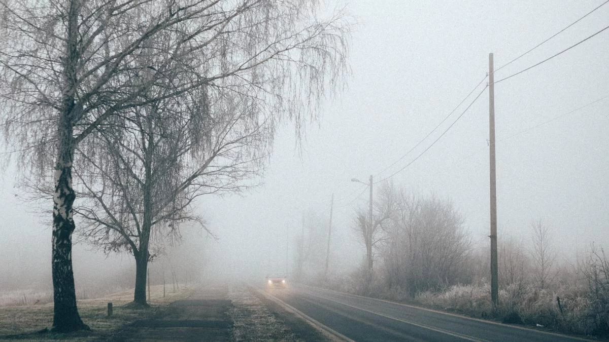 Снег и ветер: какой будет погода в Казахстане