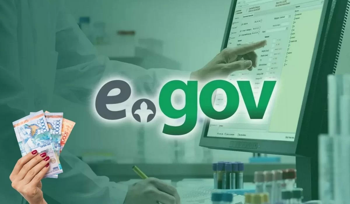 За eGov придется платить, а цифровизация под угрозой в Казахстане