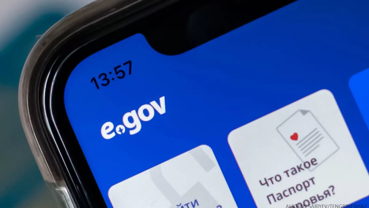 Как в Казахстане получить продовольственный ваучер через eGov