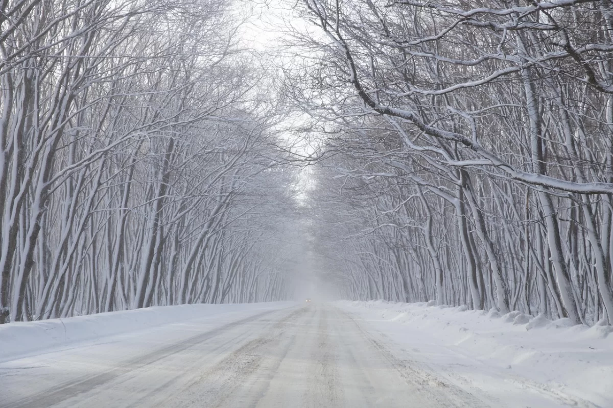 Сильные осадки и порывистый ветер: прогноз погоды в Казахстане на 13 ноября