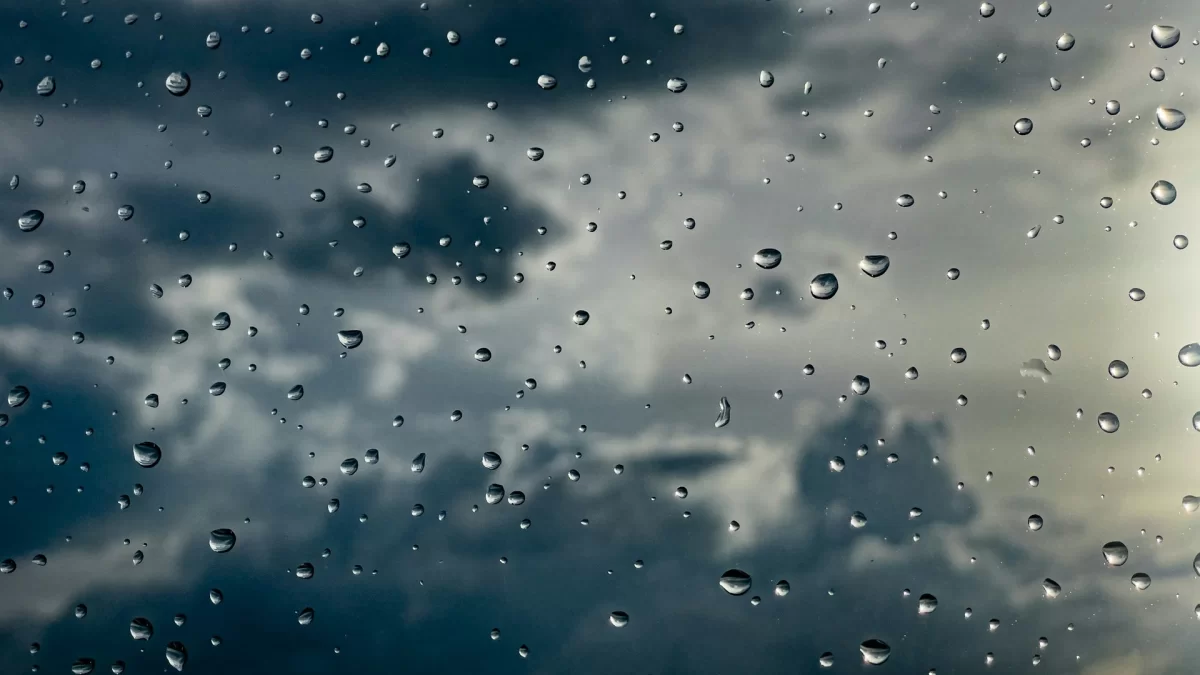 Прогноз на 24 ноября: туманы, гололед и сильный ветер по Казахстану