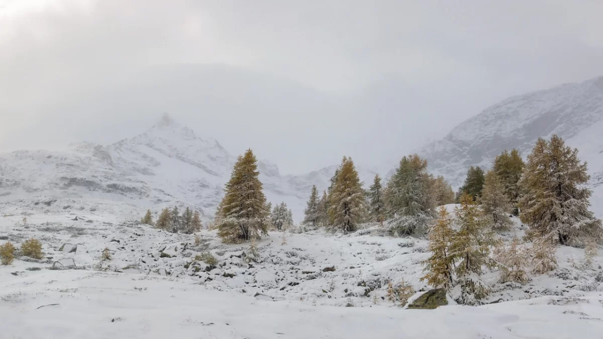 Прогноз погоды по городам Казахстана на 2 декабря