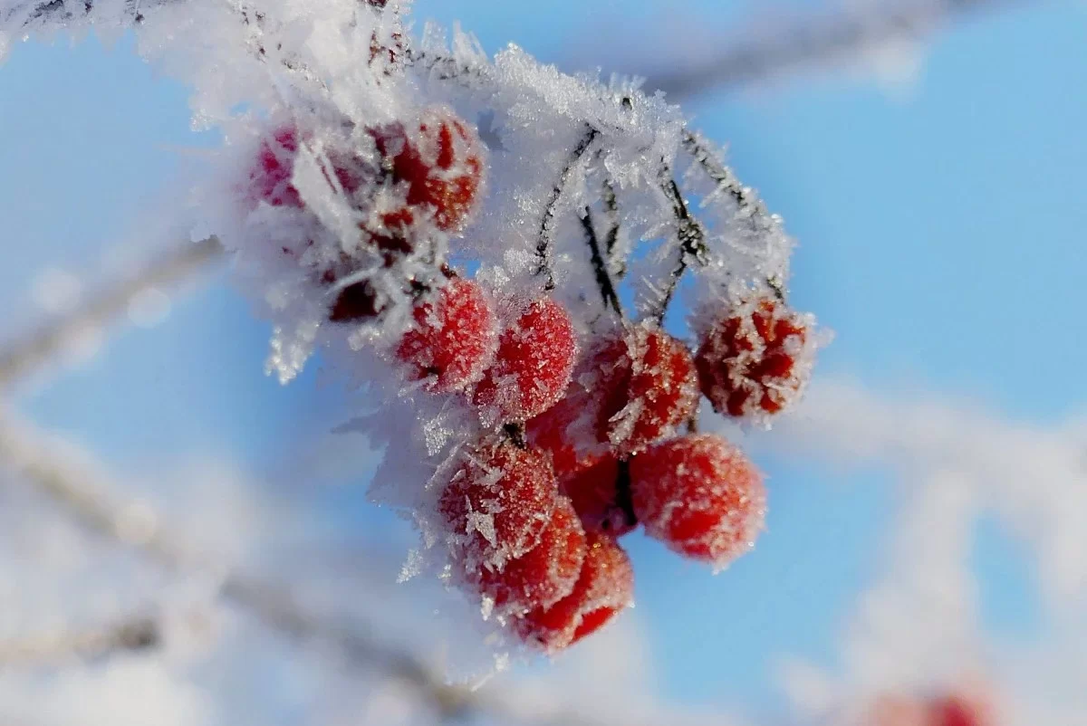 Сильные морозы надвигаются на Казахстан: прогноз на 16-18 декабря