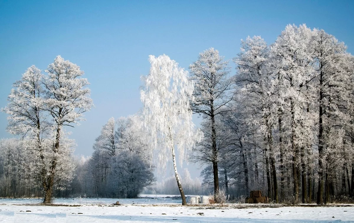 Погода снова бьёт по регионам Казахстана: метель и сильный ветер