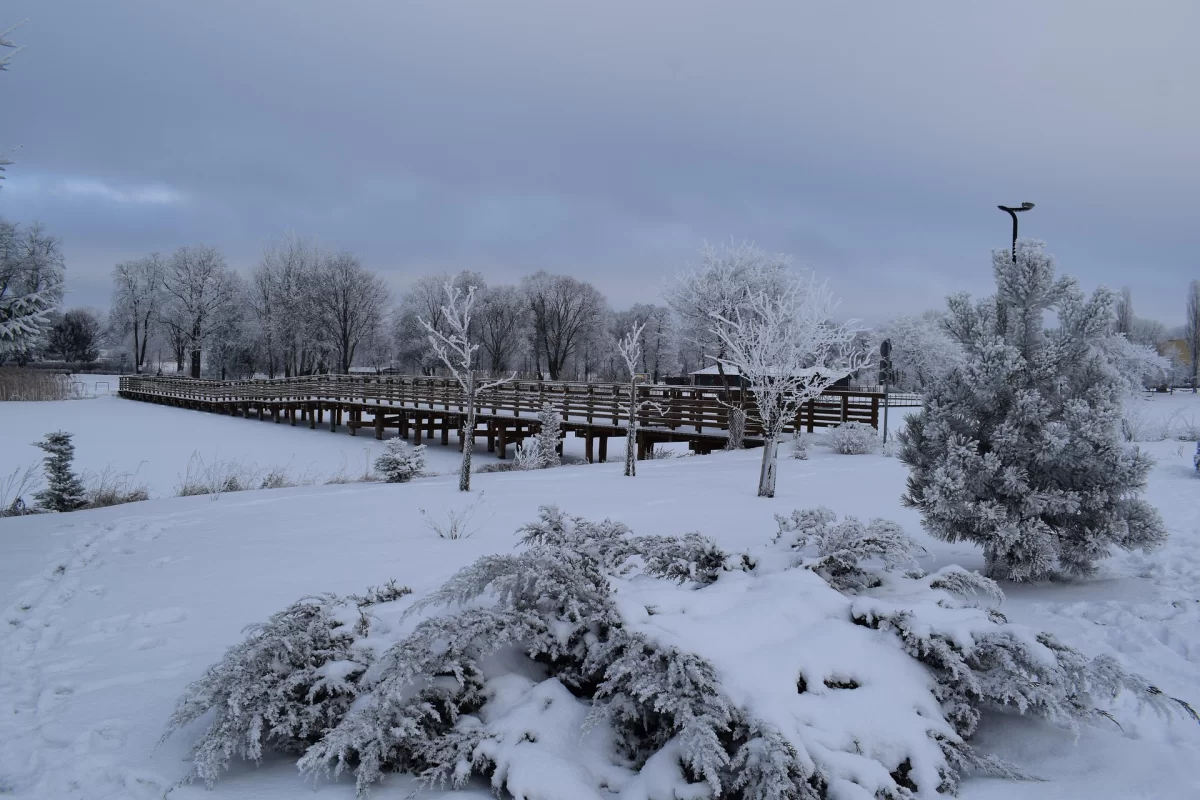 Погода в Казахстане на 16 января: морозы до −36°C и осадки в южных регионах