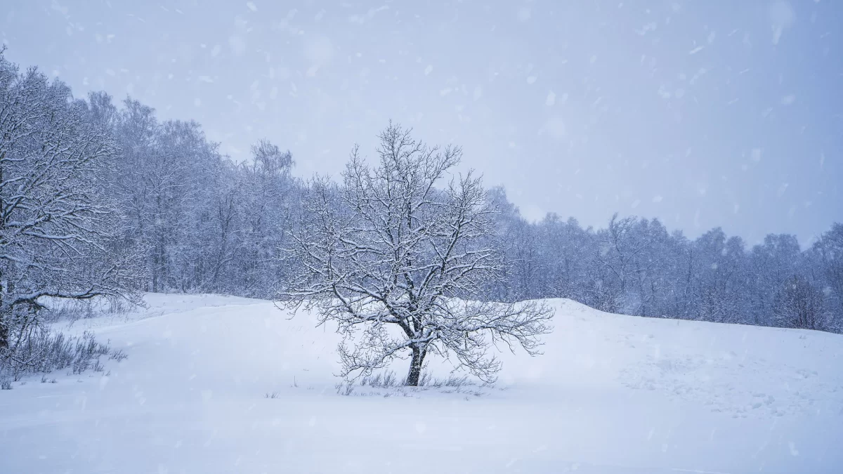 Прогноз погоды: где в Казахстане ждать мороз и снег 27 января