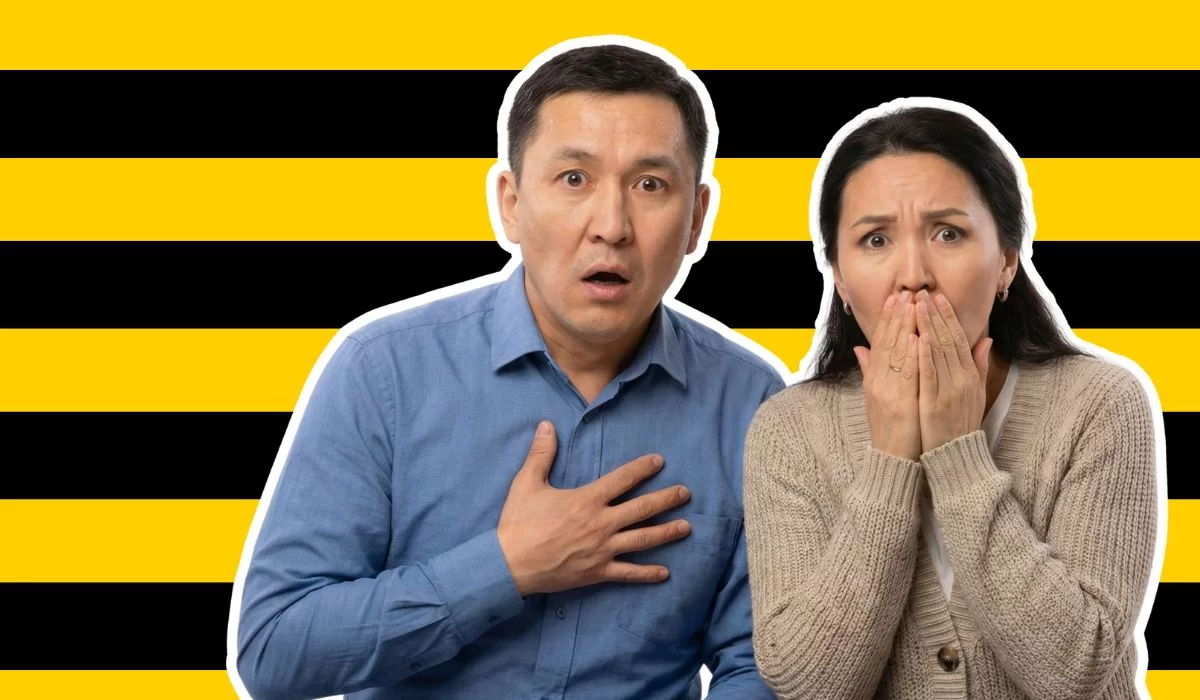 Beeline отключает КТК: где смотреть канал и изменятся ли тарифы