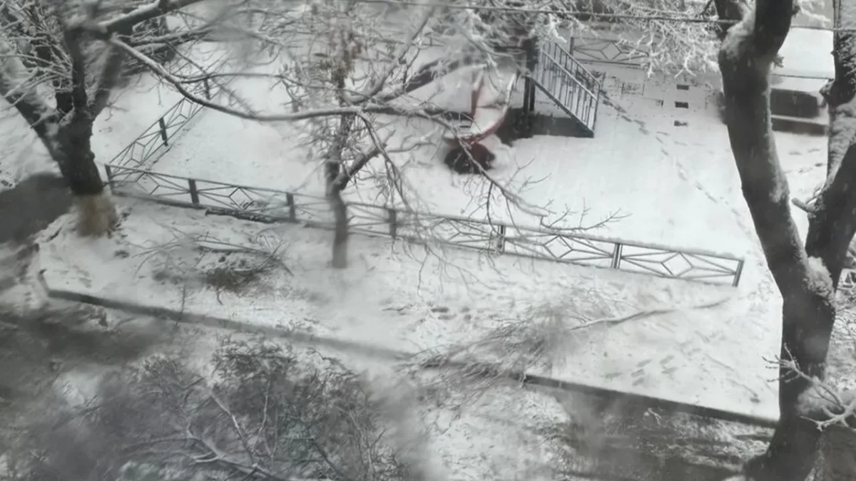 10-летний школьник погиб из-за упавшей ветки в Шымкенте