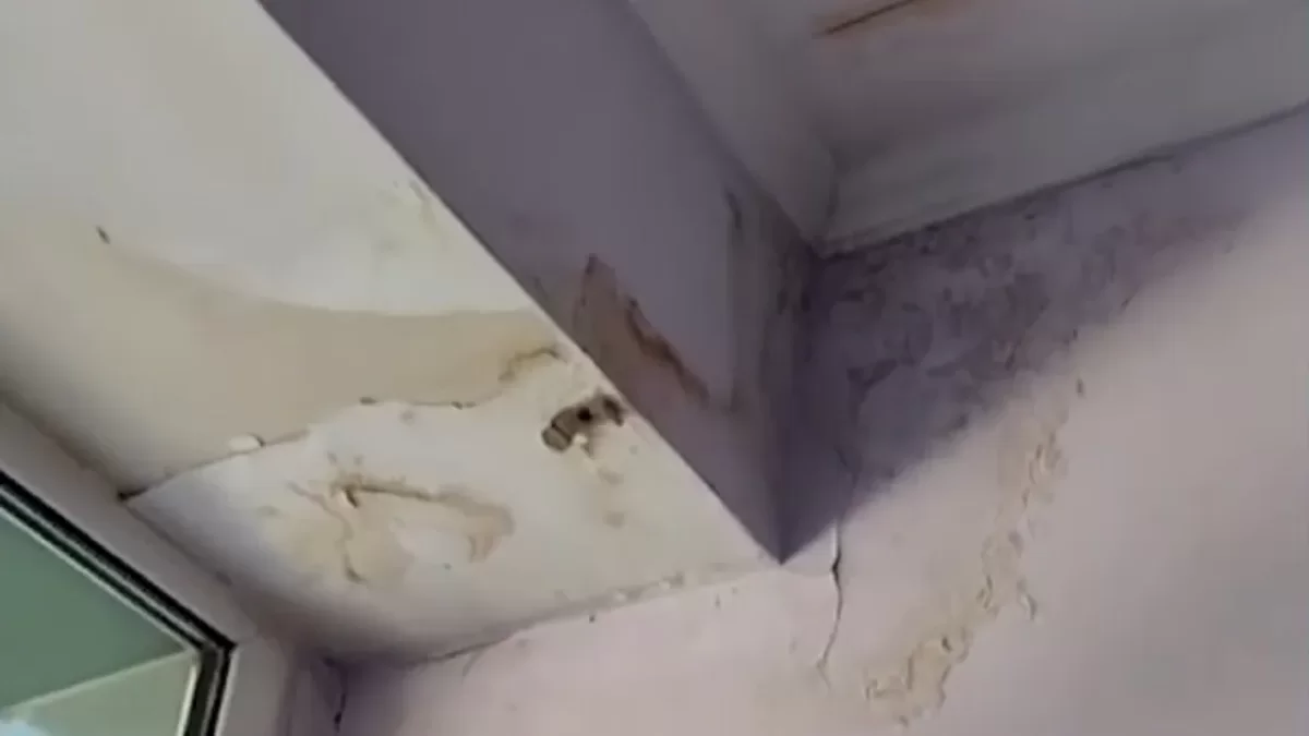 Бюджетные миллионы и грибок на стенах: что пошло не так в детской больнице Темиртау