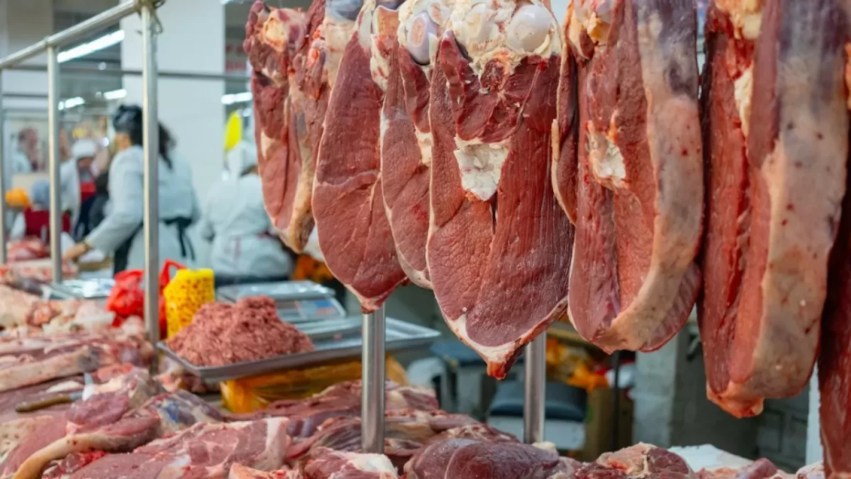 Казахстану дали тарифную льготу на импорт говядины
