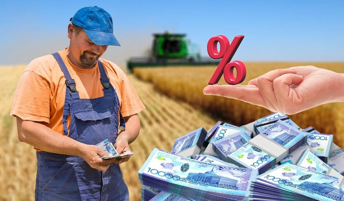 Сельский бизнес сможет получать займы без залога