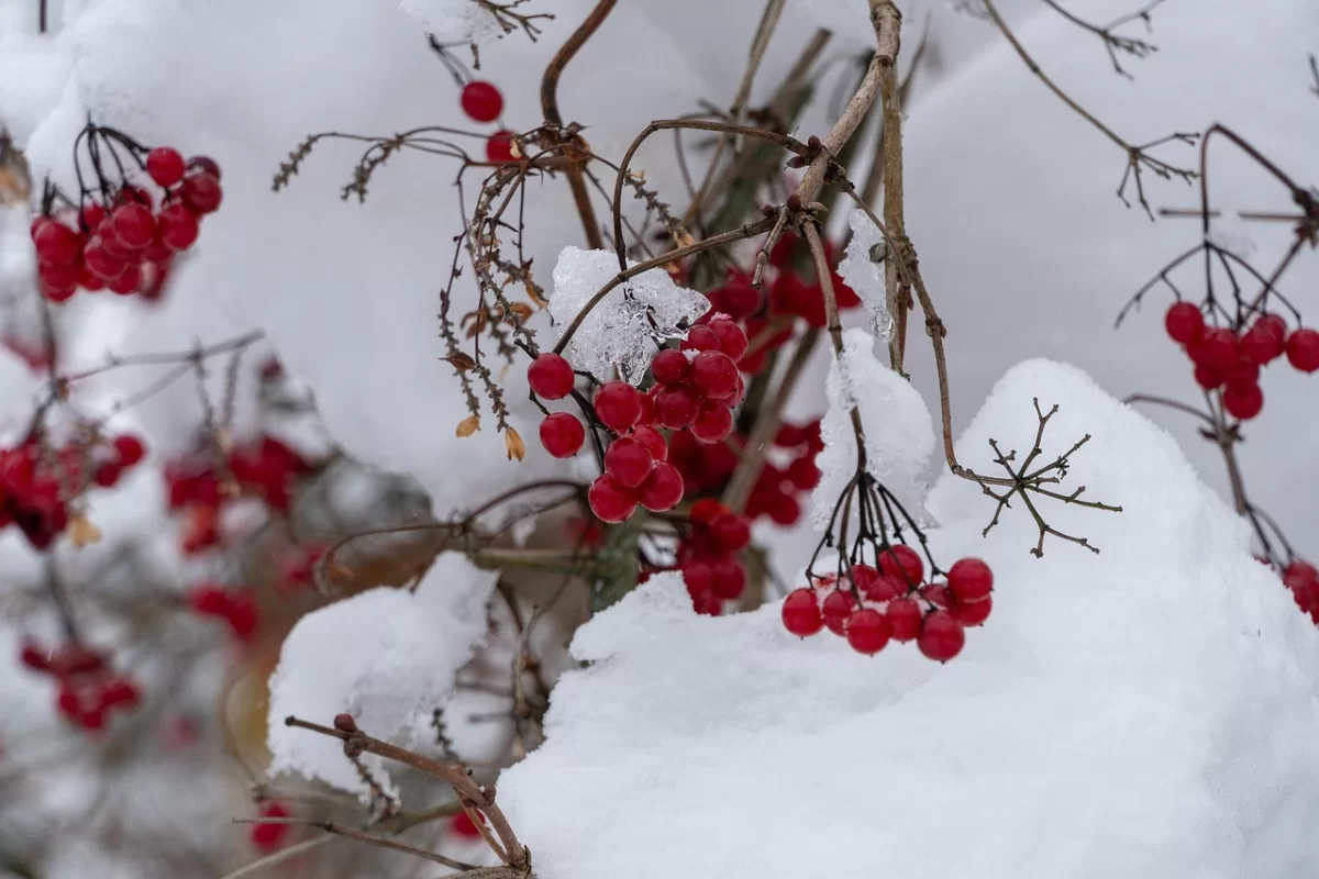 Какая погода ждет Казахстан 4 марта