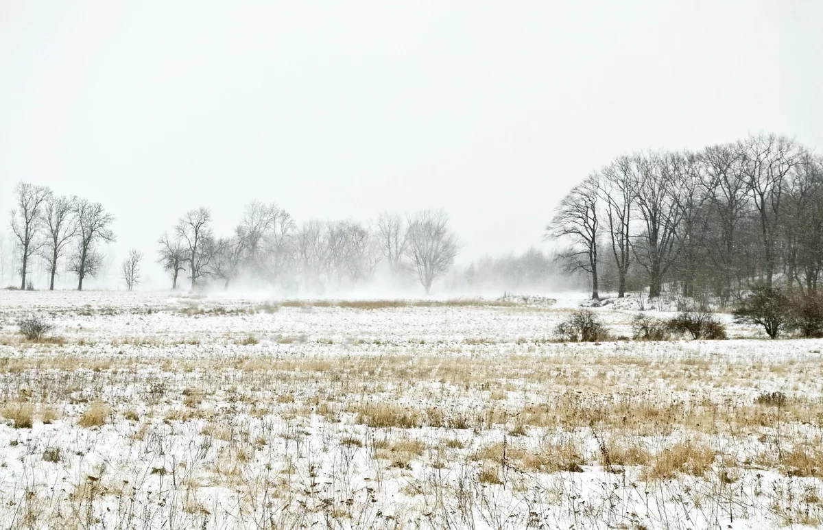 Снег, ветер и перепады температуры: какую погоду ждать казахстанцам 6 марта