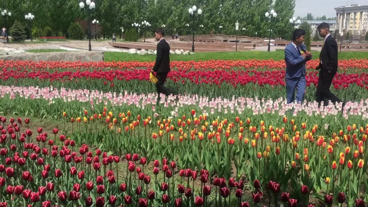 В Алматы определили более тысячи мест для продажи цветов к 8 Марта