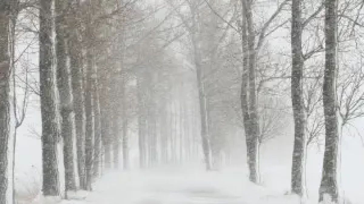 Снег и метель: на севере и востоке Казахстана ухудшится погода 16 марта