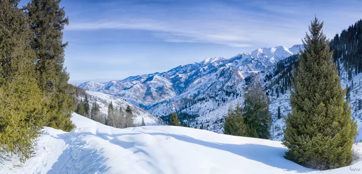 Лавины в горах Казахстана: МЧС предупредило о высокой опасности