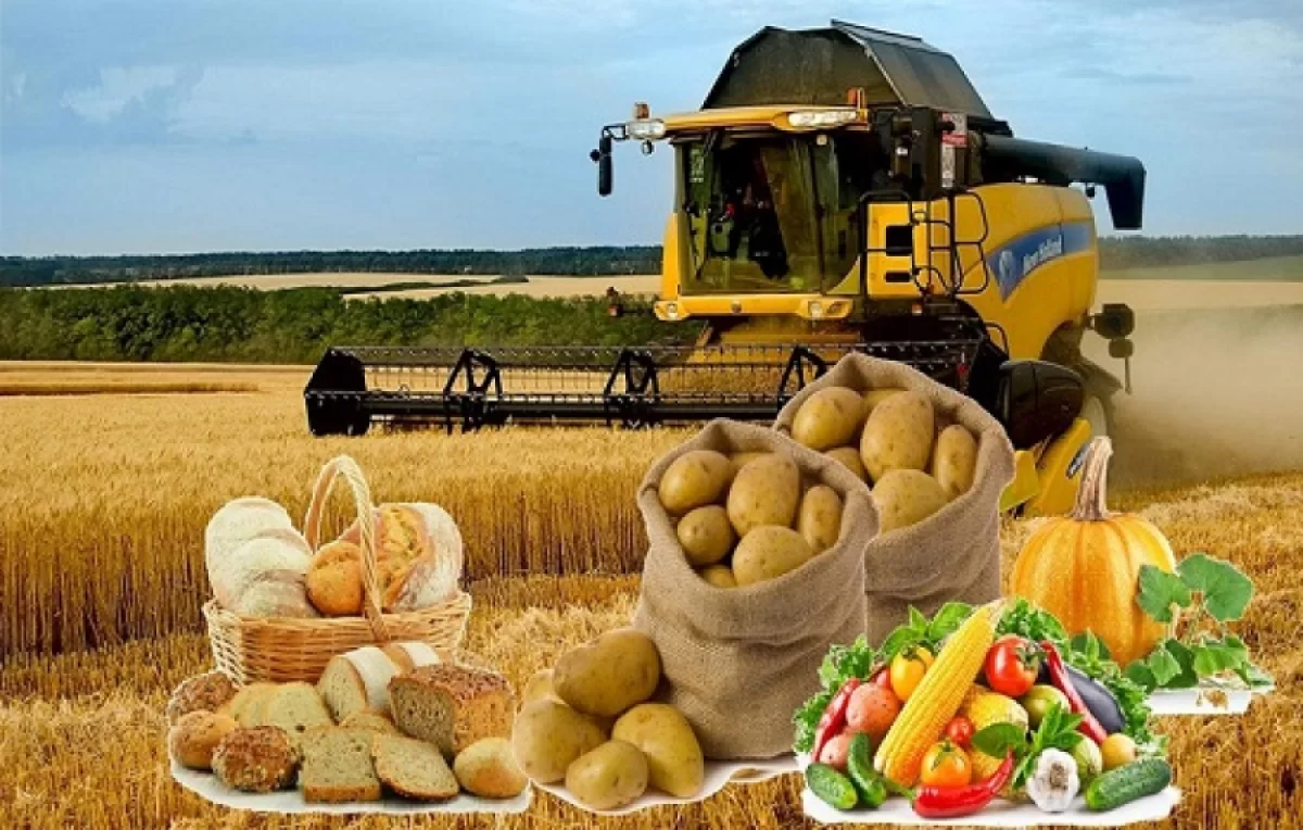 Казахстан вошёл в топ-6 стран мира по сельхозземлям