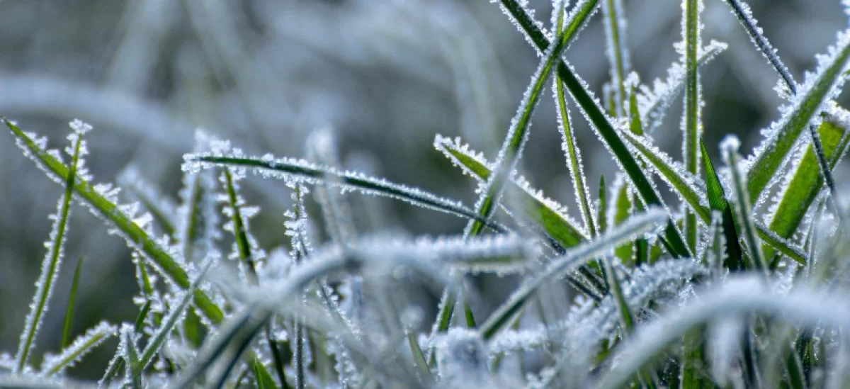 Казахстан накроет непогода 19 апреля: грозы, ветер и пыльные бури