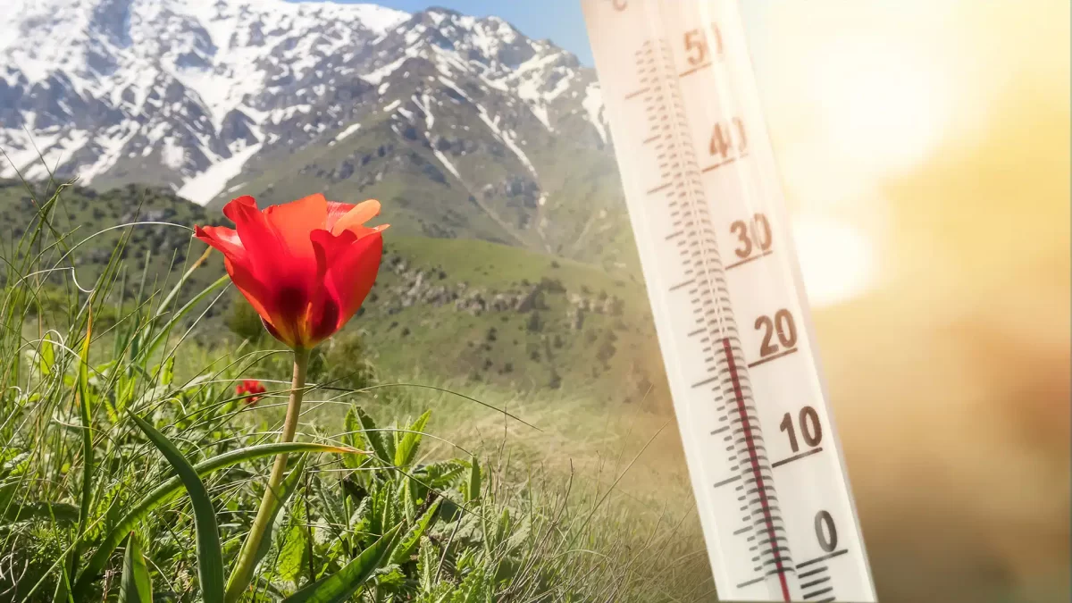 Погода в Казахстане 20 апреля: до +35°C и ветер с дождями