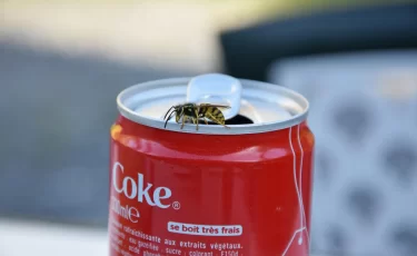 Coca-Cola запускает персонализированные бутылки с именами