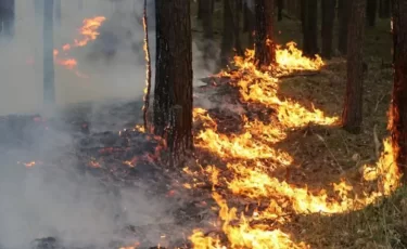 Пожарная опасность сохраняется на большей части Казахстана