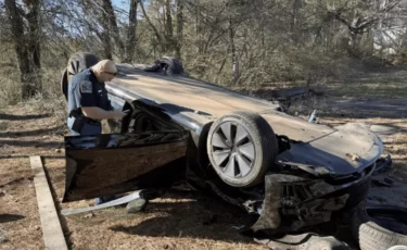 Tesla с «полным автопилотом» врезалась в дерево и перевернулась