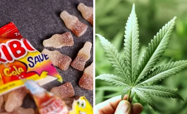 Конфеты Haribo вызвали отравление у детей: что нашли внутри?