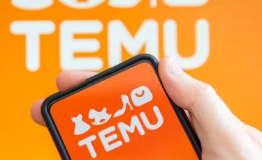 Посылки с Temu хотят обложить налогом
