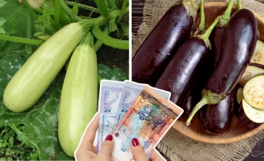 Где в Казахстане самые дешевые кабачки и баклажаны