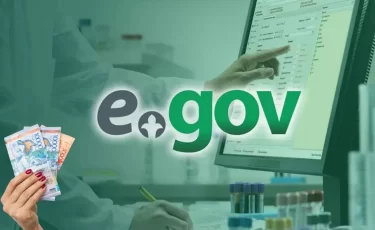 За eGov придется платить, а цифровизация под угрозой в Казахстане