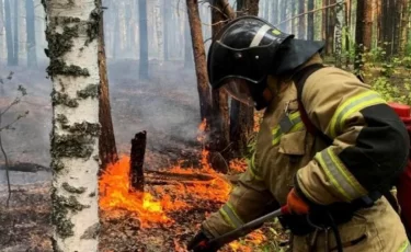 Чрезвычайная пожарная опасность сохранится в ряде регионов Казахстана