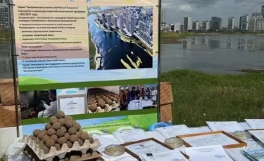 Зачем Талдыколь в Астане засыпали глиняными шарами