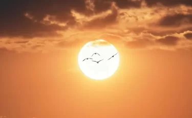 Жара до +38°C и грозы: прогноз погоды на пятницу