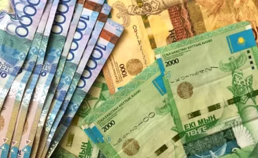 В Казахстане женщину оштрафовали на 78 тыс тенге за громкий разговор