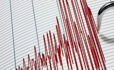 Казахстанцы почувствовали землетрясение