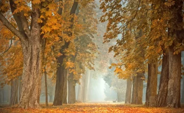 В Казахстане 23 октября ожидается сухая и теплая погода