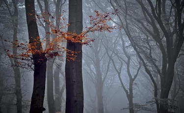 До +28°C на юге: прогноз погоды в Казахстане 24 октября