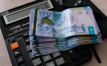 Миллионы на овощи — ушли в никуда: в СКО осужденный бизнесмен проиграл апелляцию