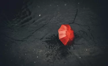 Прогноз погоды на 31 октября: в ряде регионов Казахстана будут дожди и сильный ветер