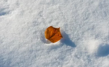 Зима спешит: в Казахстане с 4 ноября ожидаются снег, метель и морозы до –13