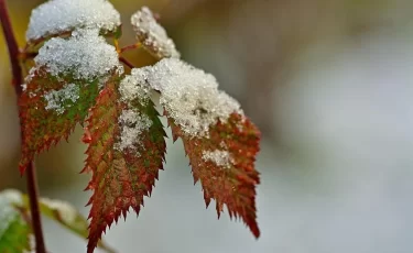 Снег и дождь: прогноз погоды в Казахстане на 8 ноября