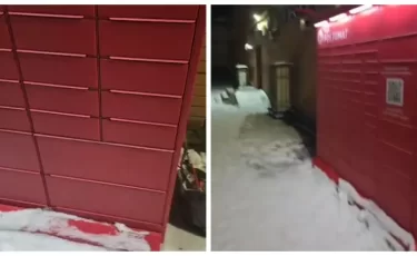 В Kaspi Postomat кота обрекли на гибель