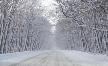Сильные осадки и порывистый ветер: прогноз погоды в Казахстане на 13 ноября