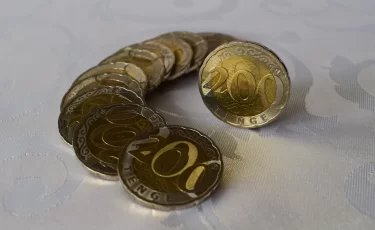 Казахстанец получил два года наказания за 740 тенге