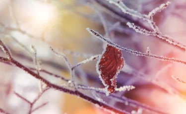 Казахстан накрыла волна похолодания: синоптики сделали предупреждение