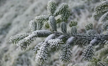 Погода в Казахстане: где будет тепло, а где ударят минусы