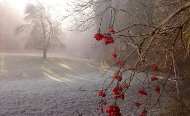 Осадки и усиление ветра: что готовит погода в Казахстане
