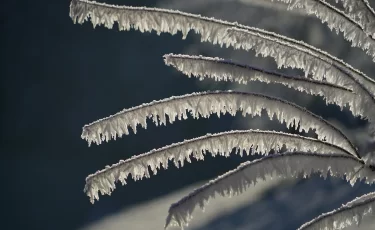 Снег, гололёд и резкие перепады: какую погоду ждать казахстанцам 29 ноября
