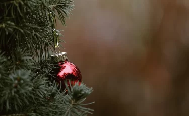 Предновогодний развод: казахстанка заказала елку в Instagram и лишилась денег