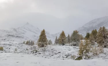 Прогноз погоды по городам Казахстана на 2 декабря